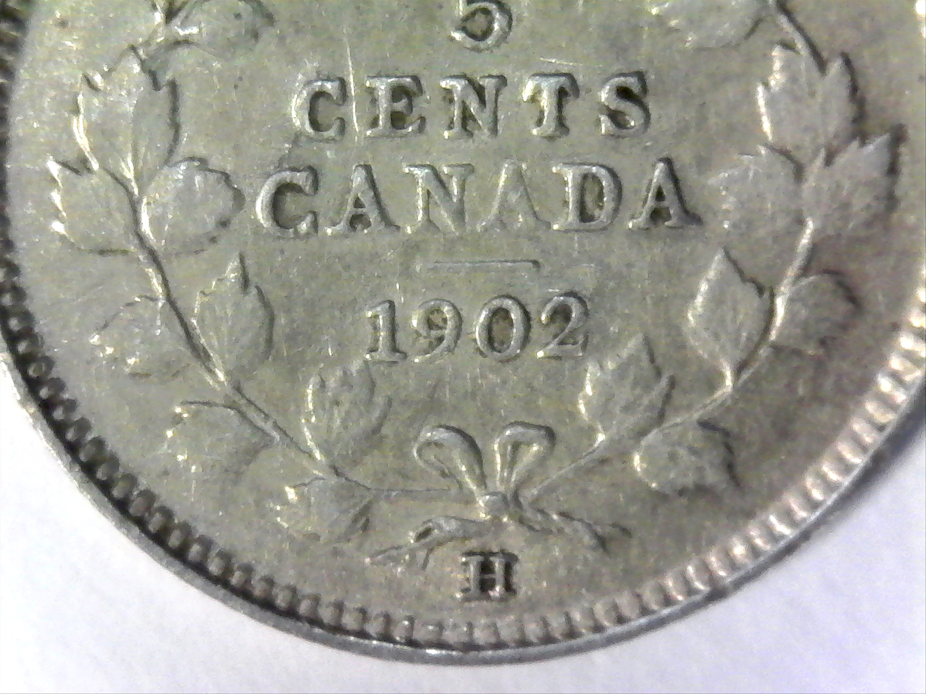 1902 5¢ Large H.jpg