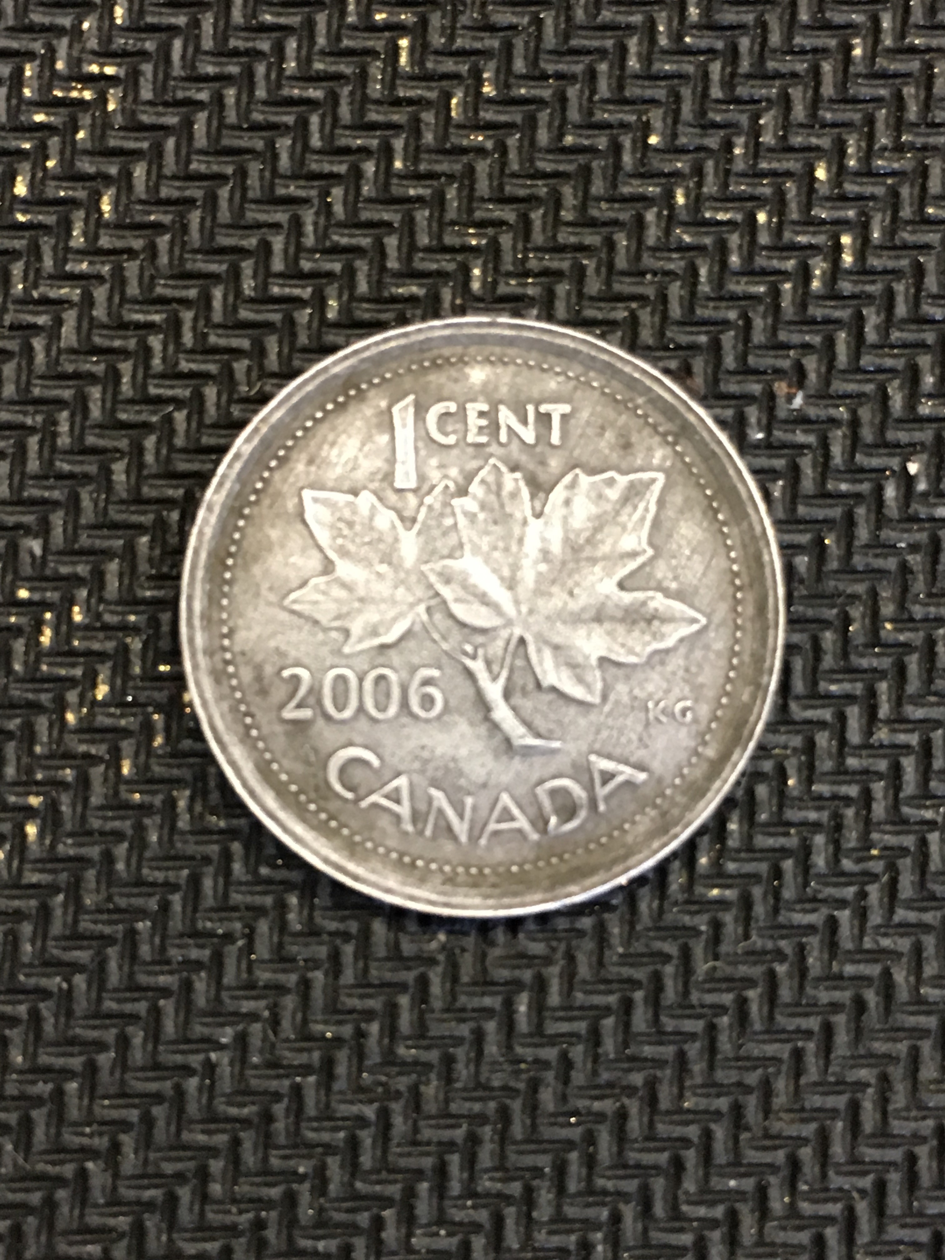 Gray Penny.jpg