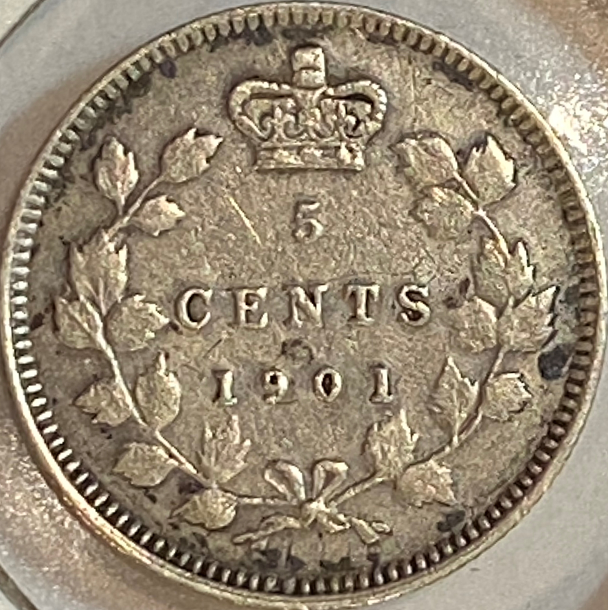 5-1901-1b.JPG