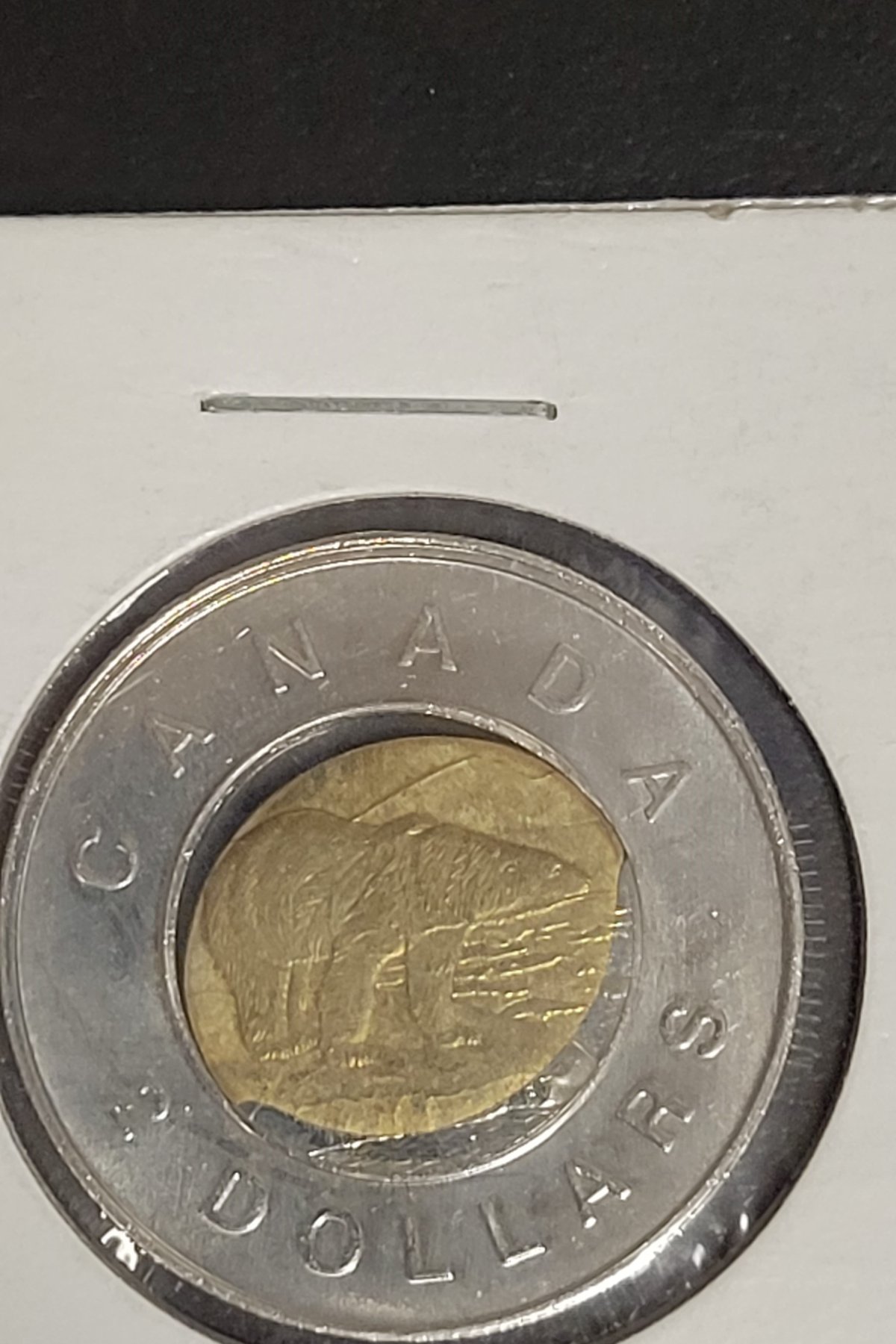 Toonie 2-ccfopt.jpg